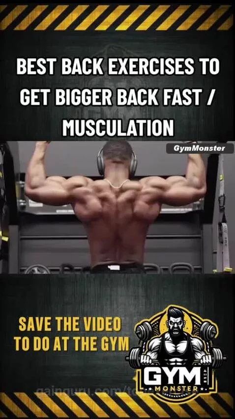 topexercise's post preview (backday)