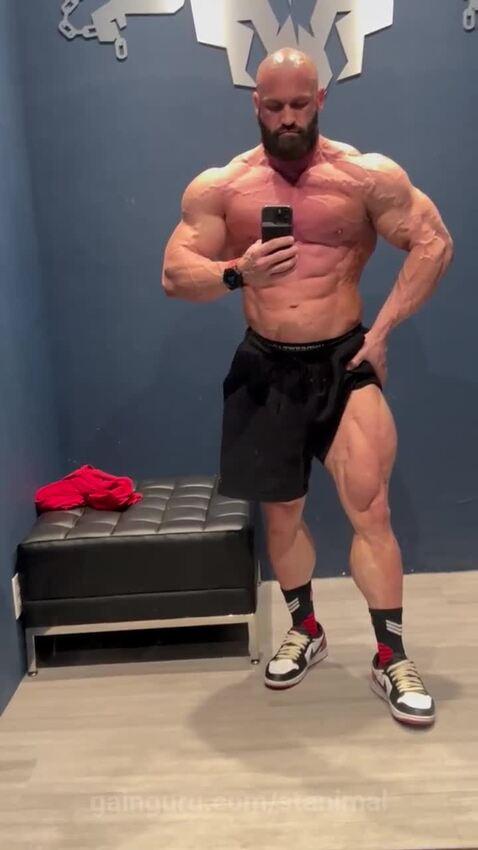 stanimal's post preview (flex)