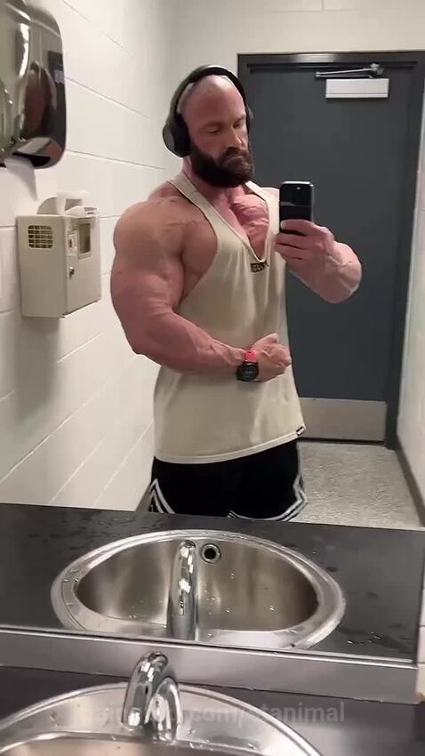 stanimal's post preview (bodybuilding)