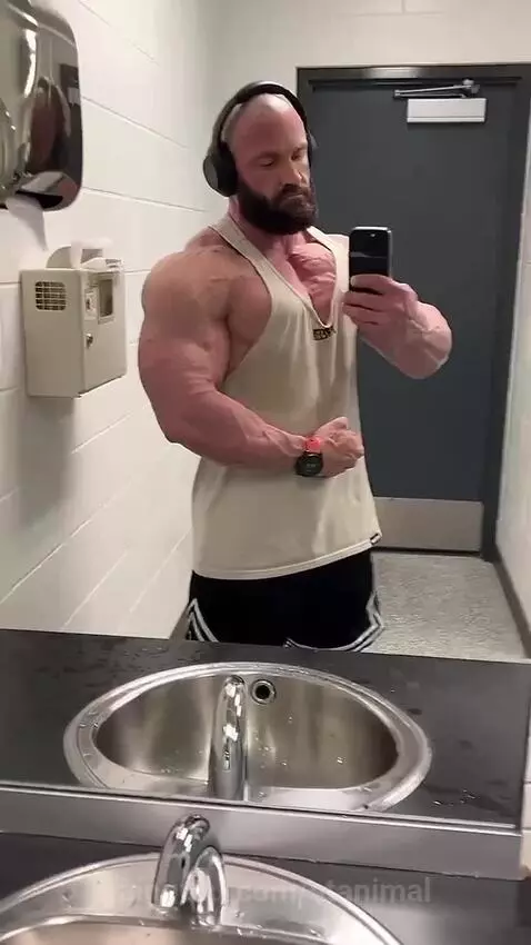 stanimal's post preview (bodybuilding)